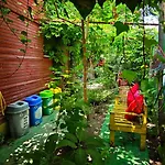 Alojamento de Acomodação e Pequeno-almoço Tuana Garden 3*