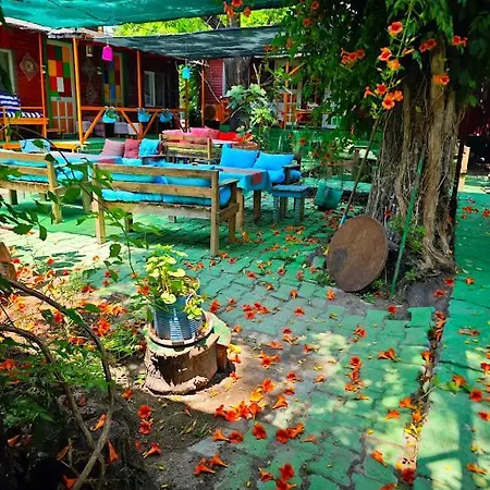 Tuana Garden 3*