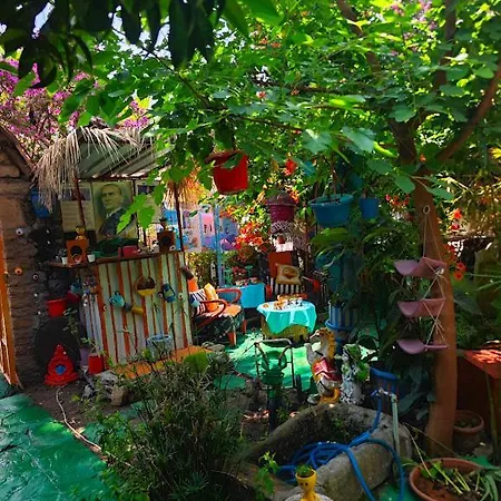 Tuana Garden 3*