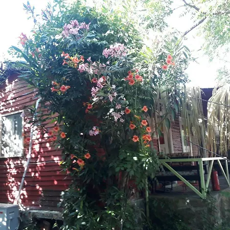 Frühstückspension Tuana Garden *