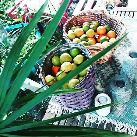Tuana Garden Frühstückspension *