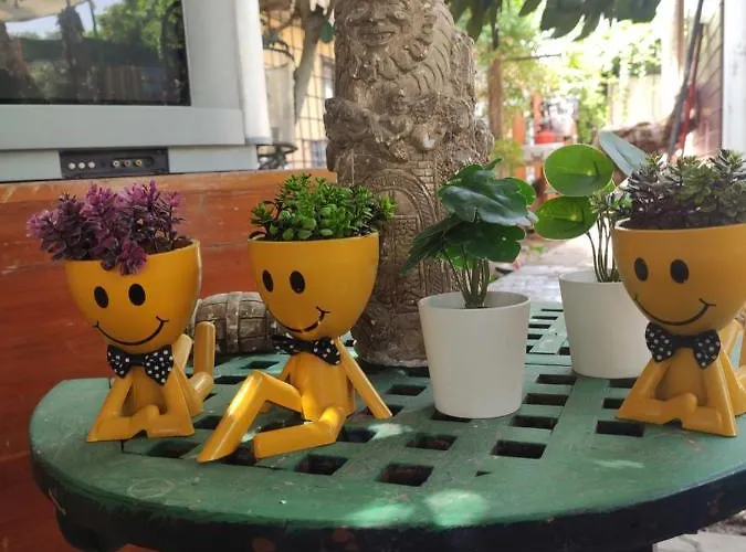 Tuana Garden Готель типу 