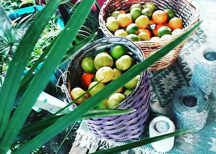 Tuana Garden Готель типу 