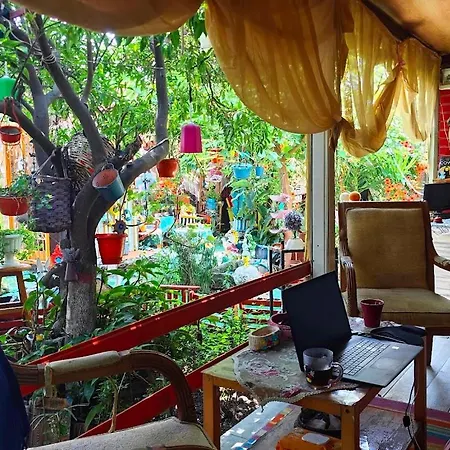 Alojamento de Acomodação e Pequeno-almoço Tuana Garden *