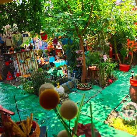 לינה וארוחת בוקר Tuana Garden