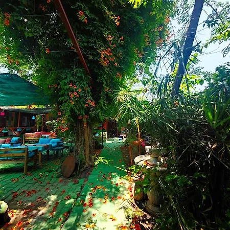 Tuana Garden Alojamento de Acomodação e Pequeno-almoço *