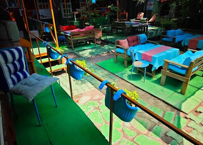 Tuana Garden 3* シダ