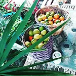 Tuana Garden Bed and breakfast 3*
