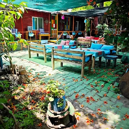 Tuana Garden * Σιντέ