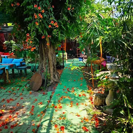 Bed and Breakfast Tuana Garden Σιντέ